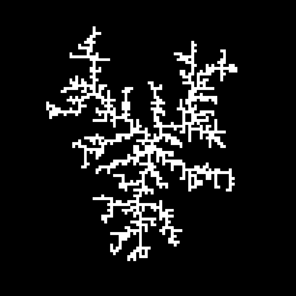 a result of the DLA algorithm where a cell is a white square and empty space is black